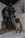 Aristotele - Triola Cane Corso